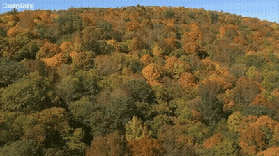 Aerial View Of Berkshire Mountains Between Hudson And Connecticut River Valleys GIF