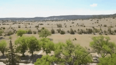 Aerial View Of Desert Landscape With Trees GIF