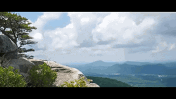 Aerial View Of Georgia Fields GIF