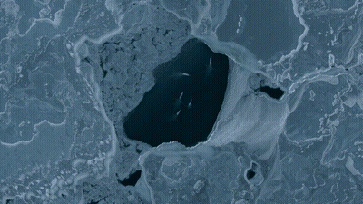 Aerial View Of Large Body Of Water GIF