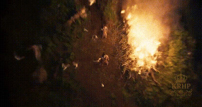 Aerial View Of Large Forest Fire At Night GIF