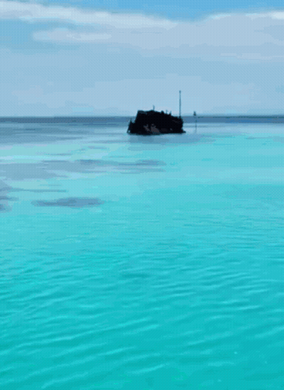 Aerial View Of Stingray In Ocean GIF