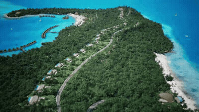 Aerial View Of Tropical Island With Trees GIF