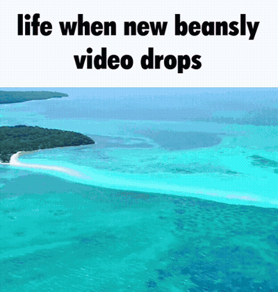 Aerial View Of Turquoise Ocean Life When New Beansly Video Drops GIF