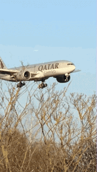 Aerospace Qatar Airways Cargo