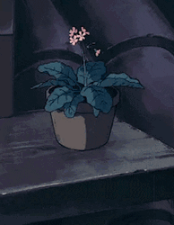 Aesthetic Anime Kiki's Plant Rain