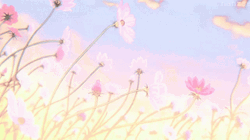 Aesthetic Background Pink Flower GIF