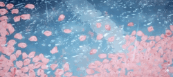 Aesthetic Background Raining Cherry Blossom GIF