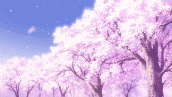 Aesthetic Cherry Blossom Background