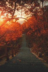 Aesthetic Fall Pathway