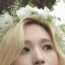 Aesthetic Korean Yellow Slideshow GIF