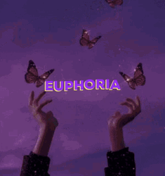Aesthetic Purple Euphoria