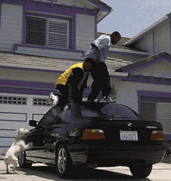 Afraid On Car GIF