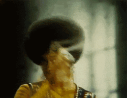 African American Christmas Hair Preparation GIF