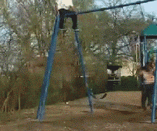 African Fly High GIF