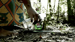 African Water Gin GIF