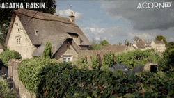 Agatha Raisin Stalking Behind Fence GIF