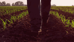 Agriculture Agronomist Farm Boots GIF