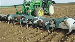 Agriculture Funny Human Farming GIF