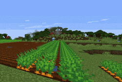 Agriculture Minecraft Farm GIF