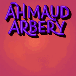 Ahmaud Arbery Can't Vote Georgia GIF