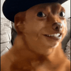 Ai Dog Ai Baby GIF