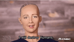 AI Sophia Destroy Humans GIF