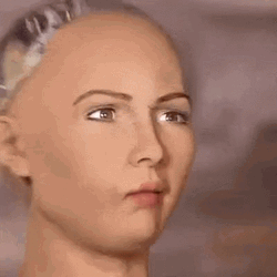 AI Sophia The Robot Yikes GIF