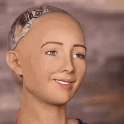 AI Sophia What The Hell Face GIF
