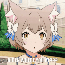 Aiden Rgv GIF