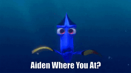 Aiden Wya GIF