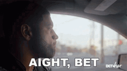 Aight Bet Driving GIF