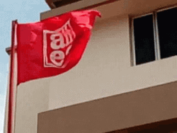 Aiiea Red Flag GIF