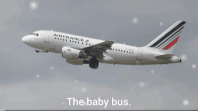 Air France Airplane Flying GIF