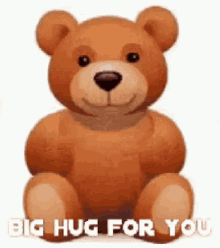 Air Hug Big Cuddle Teddy Bear