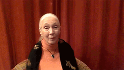 Air Hug Jimmy Fallon Hugging Grandma GIF