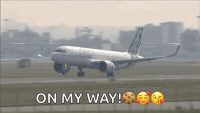 Airbus A320 Taking Off GIF