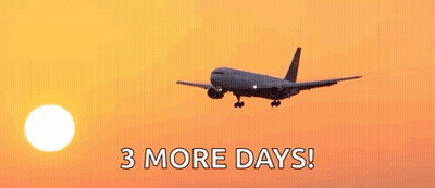 Airplane Flying At Sunset With 3 More Days GIF