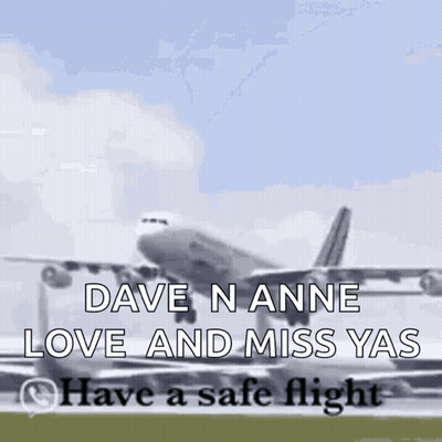 Airplane Flying With Dave Nanne Love And Miss Yas GIF