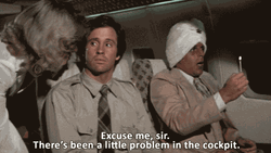 Airplane Movie Elaine Dickinson Excuse Sir GIF
