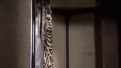 Airplane Movie Looking Julie Hagerty GIF
