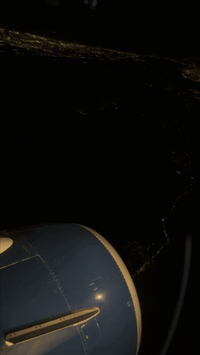Airplane Shagarita GIF