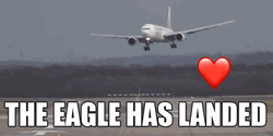 Airplane Somehow Safely Landed GIF