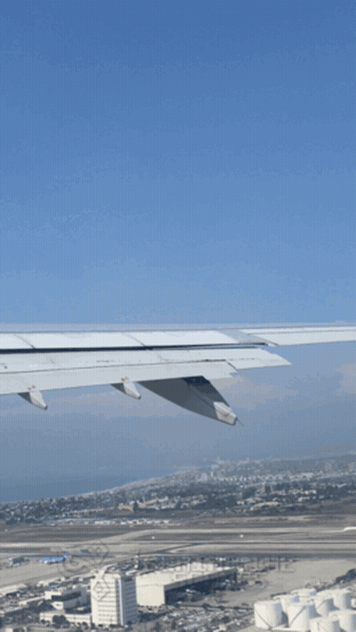 Airplane Wing With Conmigo GIF