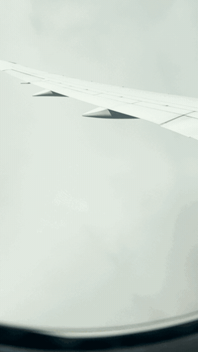 Airplane Wing With Shagarita GIF