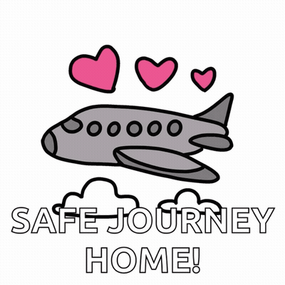 Airplane With Pink Hearts Safe Journey GIF