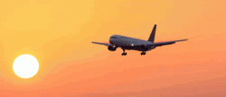 Airplane With Sunset GIF