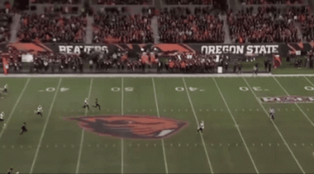 Aiyuk Brandon Keeps Running For Ball GIF