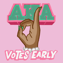 Aka Votes Early GIF