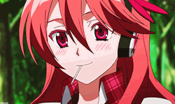 Akame Ga Kill Cute Blushing Chelsea GIF